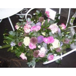 Sympathy 17 - Prices start from £45.00